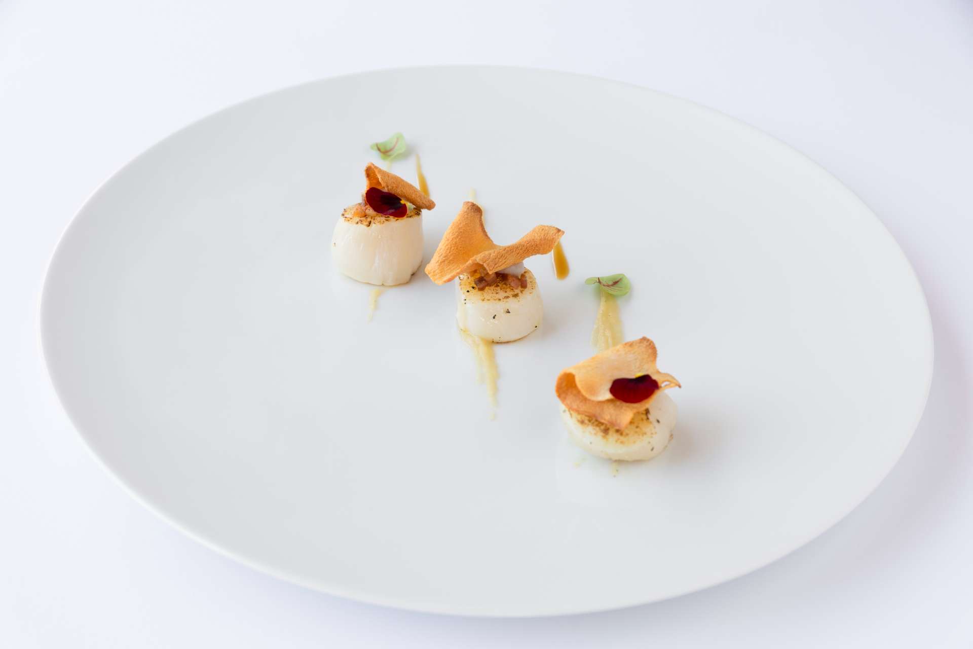 OSELETA-MENU-10